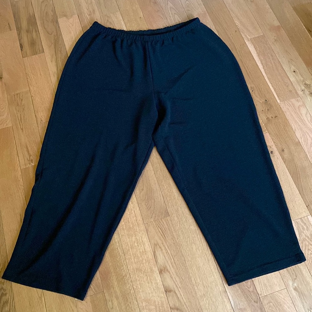 Plus size black stretch pants.